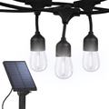 Ambience Pro Solar S14 String Lights