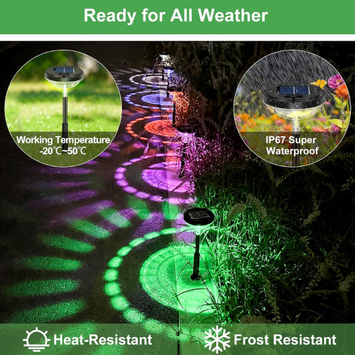 2-in-1 Solar Pathway Lights – Warm White & Multicolor Modes